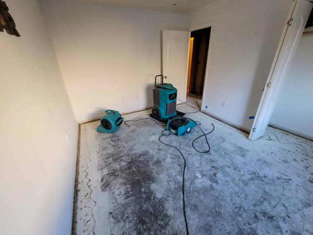 Best Residential water damage restoration  in Woonsocket, RI