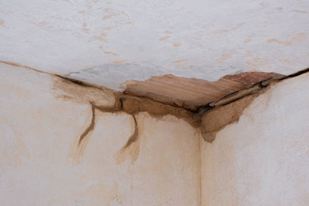 Best Water damage contractors near me  in Woonsocket, RI