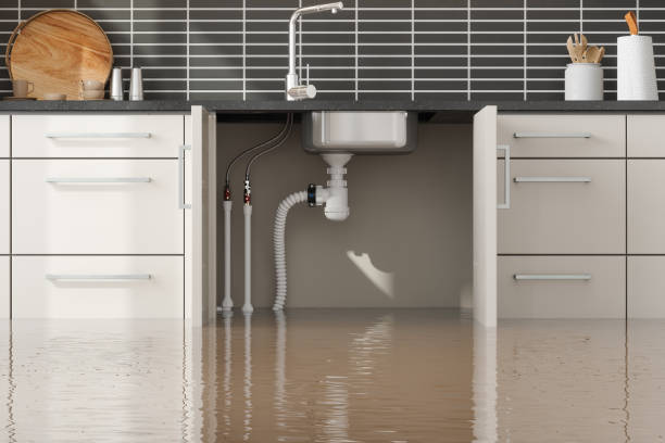 Water damage restoration experts in RI