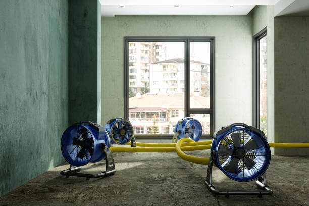 Reliable RI Water damage restoration Solutions