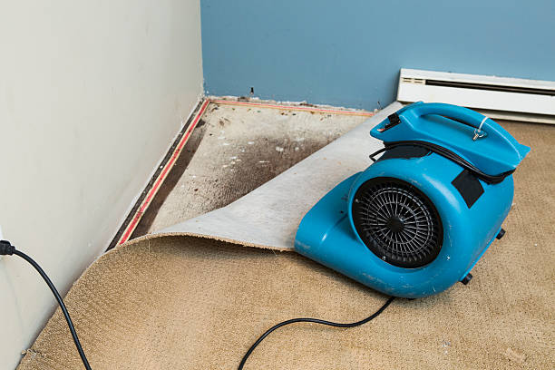 Best 24-hour water damage restoration  in Woonsocket, RI